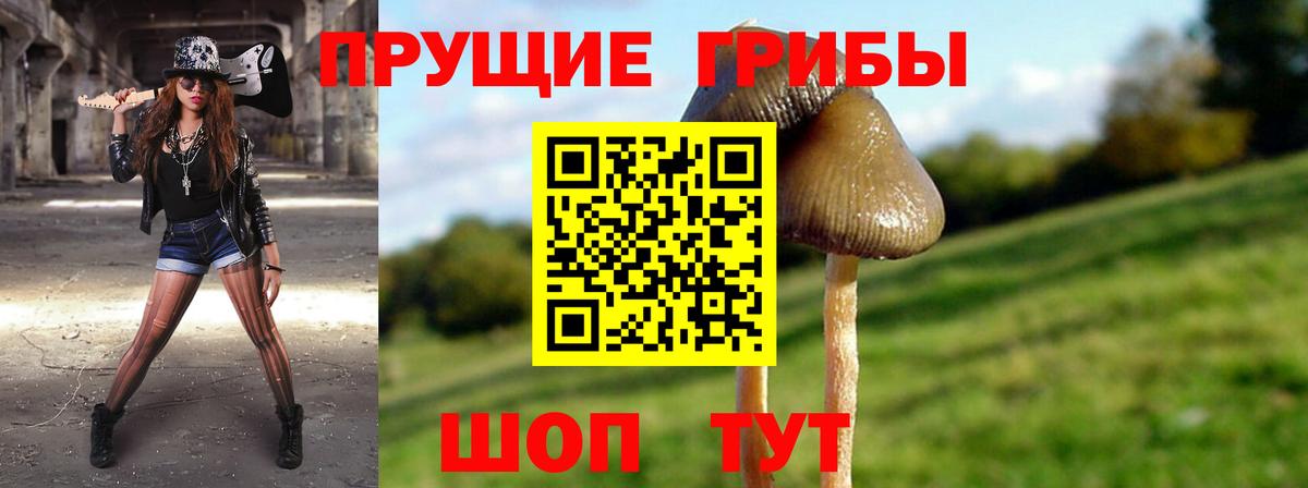 Псилоцибиновые грибы Psilocybe  наркошоп  Железногорск  Вход с VPN 